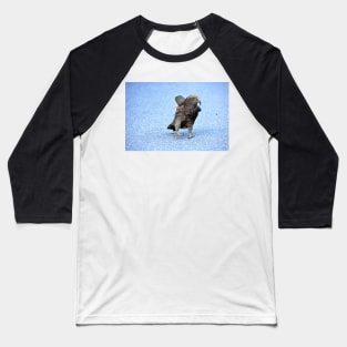 Nouvelle Zélande -  Milford Sound, perroquet kea Baseball T-Shirt